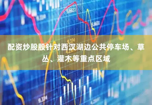 配资炒股股针对西汊湖边公共停车场、草丛、灌木等重点区域