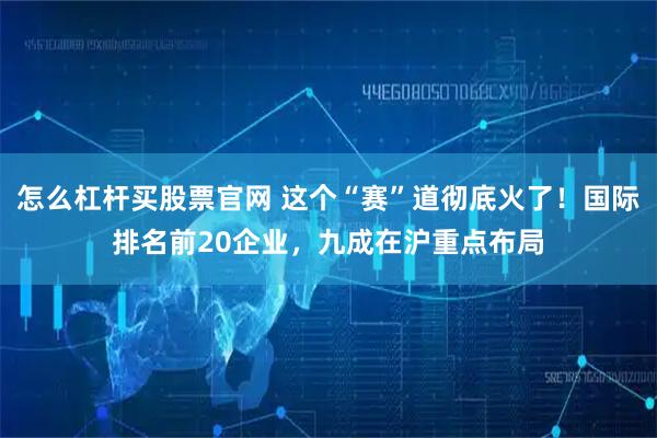 怎么杠杆买股票官网 这个“赛”道彻底火了！国际排名前20企业，九成在沪重点布局