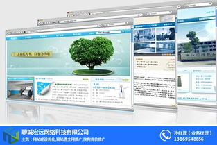 莘县网站建设,聊城宏远网络,手机网站建设